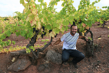 Raúl Acha- Garnachas de España_OceněnáVína_CZ